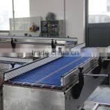 Low Friction LBP Table Top Chain Conveyor thumbnail-6