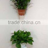 Adjustable Metal Bracket for Single Square / Rectangular Flowerpot 10" to 19" thumbnail-4