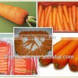 Fresh Carrot thumbnail-1