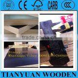 28mm Container Flooring Plywood Manufacturer China thumbnail-6