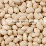 2012 Crop White Kidney Bean Navy Bean thumbnail-1