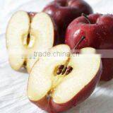 Common Cultivation Type and Apple Type Fresh Apples Fruit thumbnail-4
