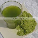 100% Purity Organic Barley Grass Powder thumbnail-3