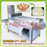 FT-200 Fully Automatic Egg Shell Removing Machine,cooked Rgg Sheeling Machine,boiled Egg Peeling Machine thumbnail-4