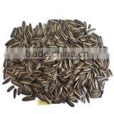 Sunflower Seeds 363 thumbnail-1