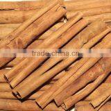 BEST OFFER FOR VIETNAM CASSIA/ CINNAMON BEST SPICES STANDARD CROP 2016 thumbnail-1