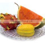 Crystal Acrylic Round Fruit Dish Round Petal Compote Fruit Tray Round Acrylic Serving Tray