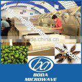 Betel Nut Microwave Tunnel Dryer thumbnail-1