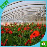 Young Seeds Germination House Used Covering Film Material / Greenhouse Cover Film thumbnail-6