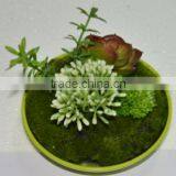 SJ0409032 Indoor Wall Hanging Mini Wall Art Decoration thumbnail-3