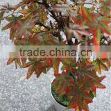 Lighting Bulb Christmas Decoration Indoor Small LED Maple Bonsai thumbnail-6