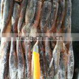 Frozen Whole Round Squid Todarodes Pacificus 200-300g thumbnail-1