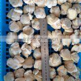 Frozen Baby Clam Meat Export Levels Quality thumbnail-6