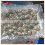 Frozen Boiled V-packed Baby Clam thumbnail-3