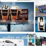 Audley Inkjet Printerast Speed Solvent Printer thumbnail-2