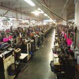 Suzhou Shuang Long Glove Co., Ltd. company overview - view 2 thumbnail