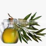 Tea Tree Oil thumbnail-3