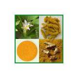 Turmeric Extract 15% ~ 95%Curcumins thumbnail-1
