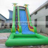 Large Inflatable Slide for Sale Inflatable Aqua Park Water Slide