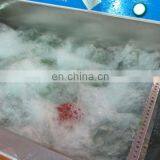 Restaurant Fruit Washing Machine Vegetable Washing Machine / Tomato Washer / Apple Washing Machine With Stainless Steel & CE thumbnail-7