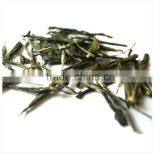 Sencha Green Tea, Organic Sencha Steamed Bulk Green Tea thumbnail-4