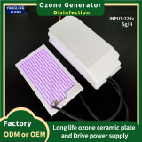 110V/240V Ozone Disinfection 5g Domestic or Commercial Air Purification Machine Ozone Ceramic Plate Small Ozone Generator thumbnail-2