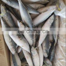 Frozen Mackerel Price Frozen Pacific Mackerel Fish Price thumbnail-5