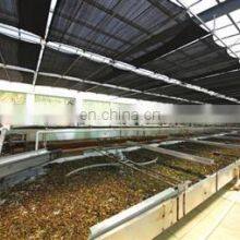 Brown Sugar Processing Production Line thumbnail-2