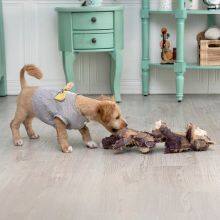 Teddy Bear thumbnail-3