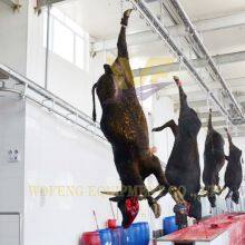 Freely Design Complete Cow Slaughter Line Equipment of Turnkey Project Solution Cattle Abattoir Machine thumbnail-4