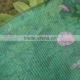 Black Color Sun Shade Netting