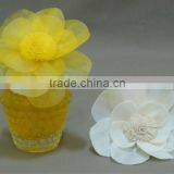 Sola Wood Flower Supplier