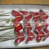 Exquisite Top Sell New Product Yellow African Antirrhinum Flowers thumbnail-4