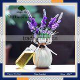 Aroma Reed Spreader 2016 Trending Products,hotel Home Decoration Air Freshener,reed Aroma Diffuser Supplier's Choice