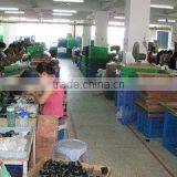 Golden Clock Electronics Co., Ltd. company overview - view 2 thumbnail