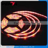 12V/24V Multiple Flexible Decoration Led Strip Light SMD5050