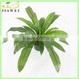 DECORATIVE Artificial Plants and Trees