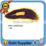 School Teaching Medical Parasitology Prepared Slides