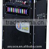 10 Inch Wireless Rechargeable Portable Speaker