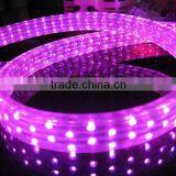Super Brightness Warm White RGB 5050 SMD Led Flexible Strip Light thumbnail-1