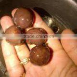 Soapnut/Saponin/Mukorossi Supplier /Exporter From China/Russia/India//Second Grade thumbnail-4