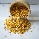 HOT AMERICAN RED CHILI SEEDS thumbnail-1