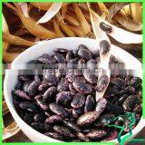 Big Black Speckled Kidney Beans Wholesale thumbnail-1