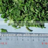 competitive price spinach chips from china