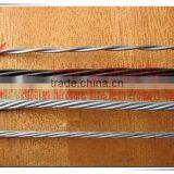 Galvanized/black Annealed Twisted Metal Wire Iron Wire