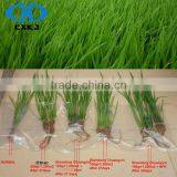 Amino Acid Powder With 40% Amino Acid Animal Source thumbnail-4