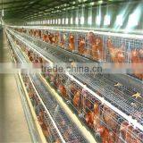 Chicken Cage for Poultry Farming thumbnail-1
