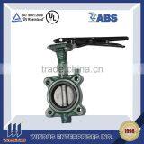 DN3100 PN90 Steel Butterfly Valve thumbnail-1