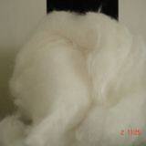 Ramie Fiber thumbnail-3
