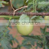 Natural Color Wire Paper Rope For Agriculture thumbnail-6